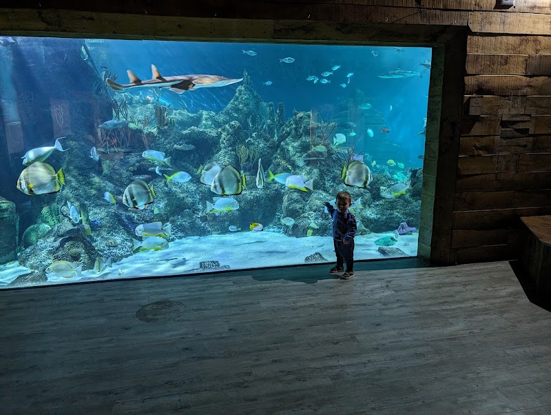 Skegness Aquarium photo 2
