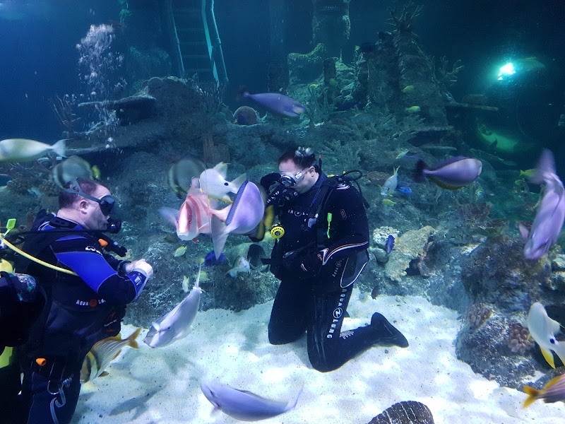 Skegness Aquarium photo 3