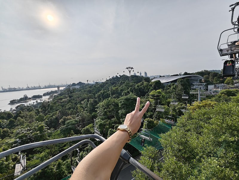 Sky Luge Singapore photo 2