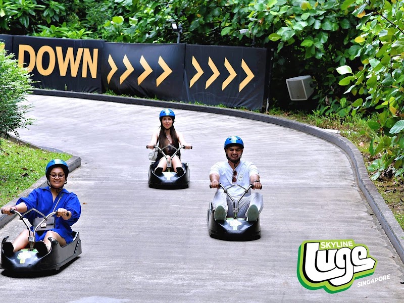 Skyline Luge Singapore photo 2