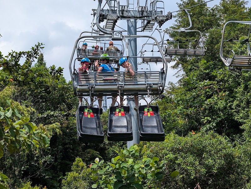 Skyline Luge Singapore photo 3