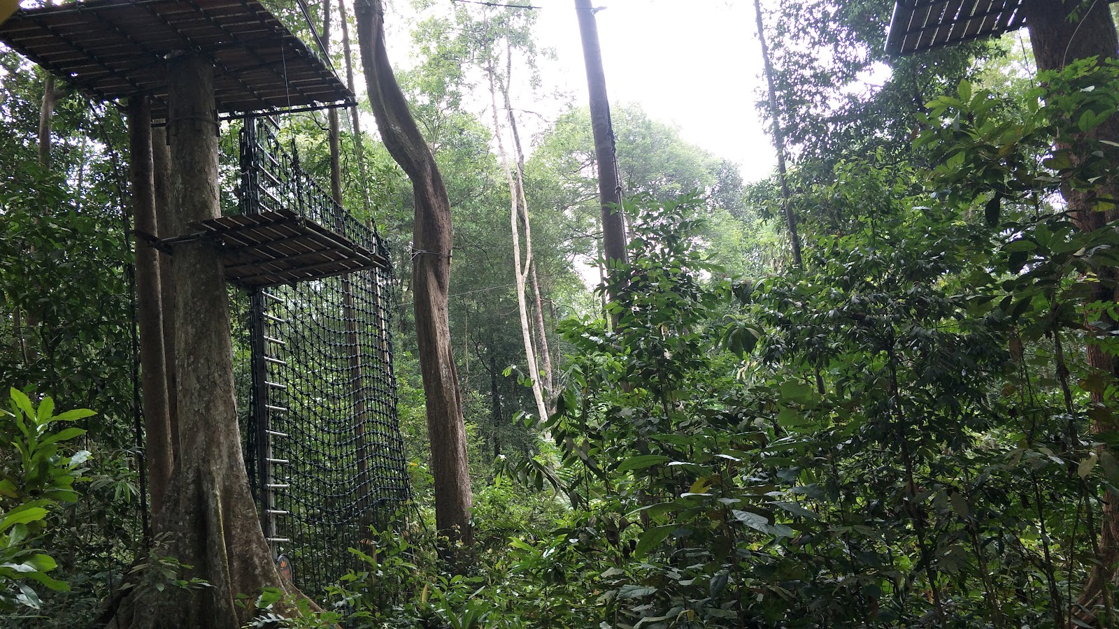 Skytrex Adventure Melaka
