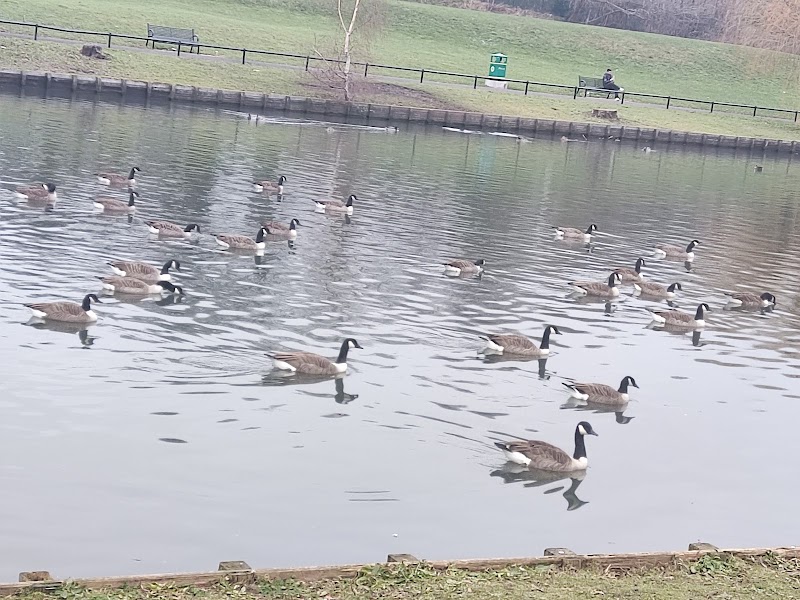 Smethwick Hall Park photo 2