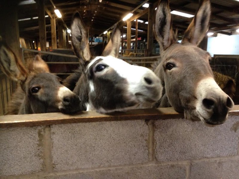 Smithills Open Farm