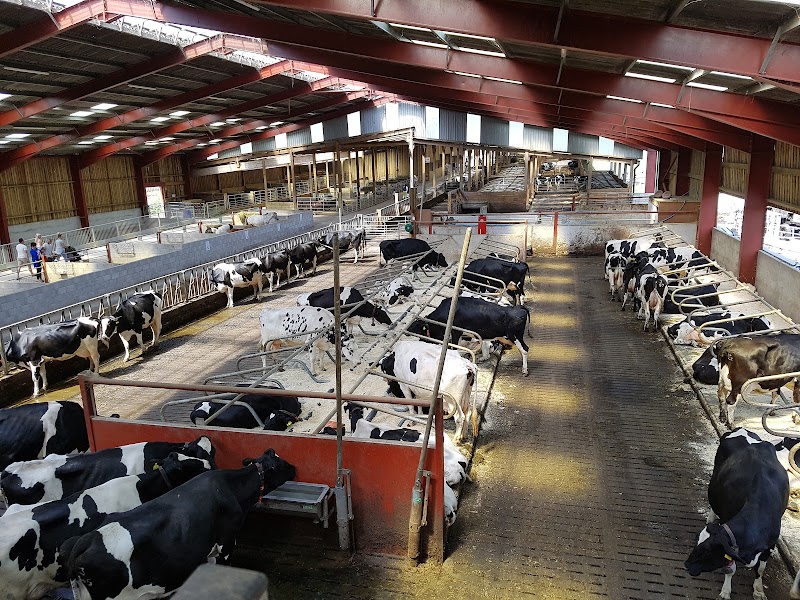 Smithills Open Farm photo 2