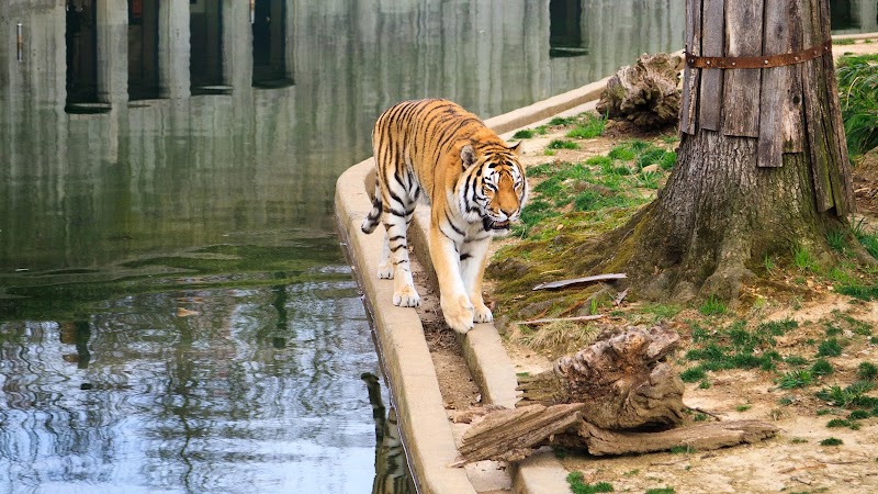 Smithsonian National Zoological Park photo 2