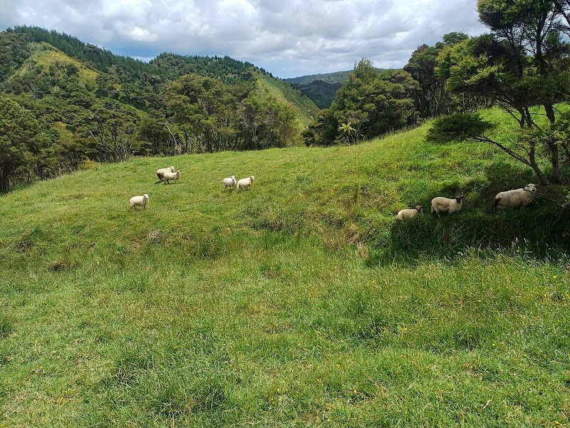 Smitty's Ridge horse trekking photo 2