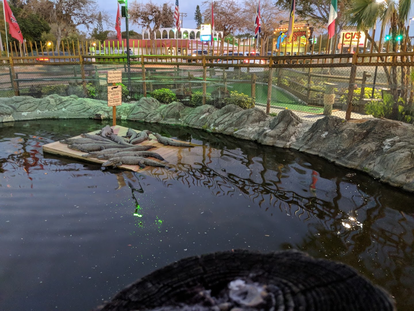 Smugglers Cove Adventure Golf