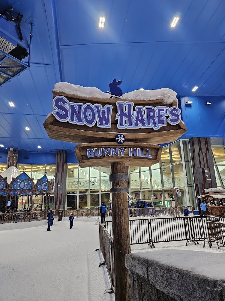 Snow Abu dhabi photo 5