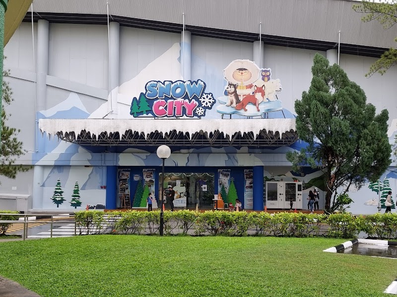 Snow City Singapore photo 3