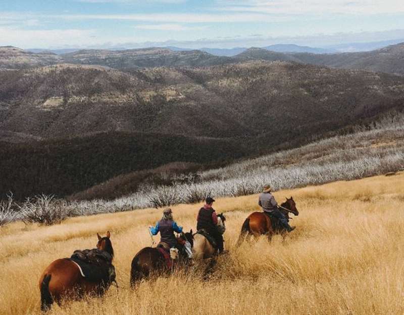 Photo of Snowy Range Horseback Tours in Victoria