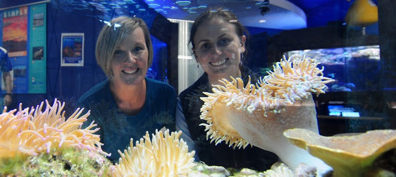 Solitary Islands Aquarium