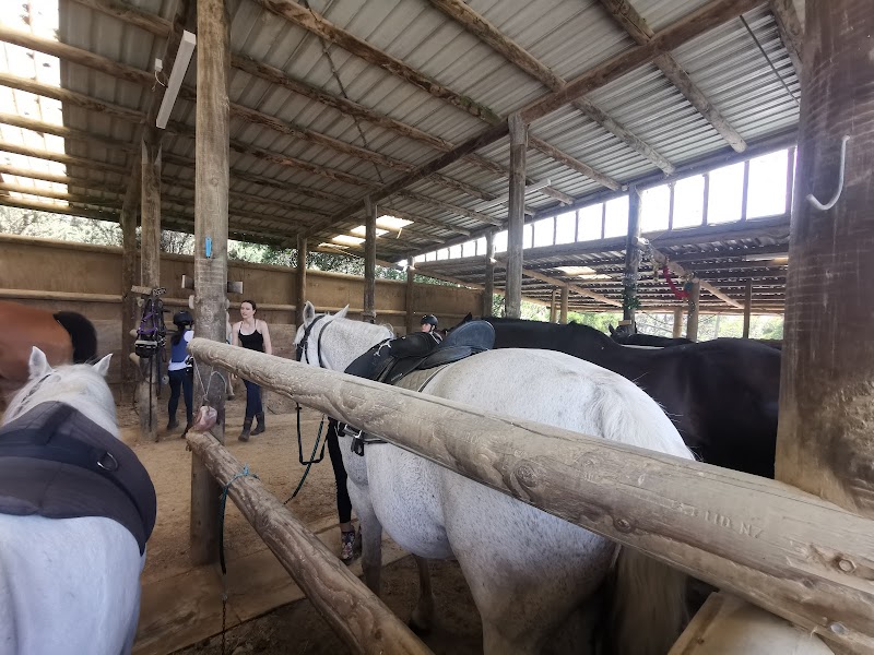 Sonshine Ranch Outdoor Adventure Centre photo 2