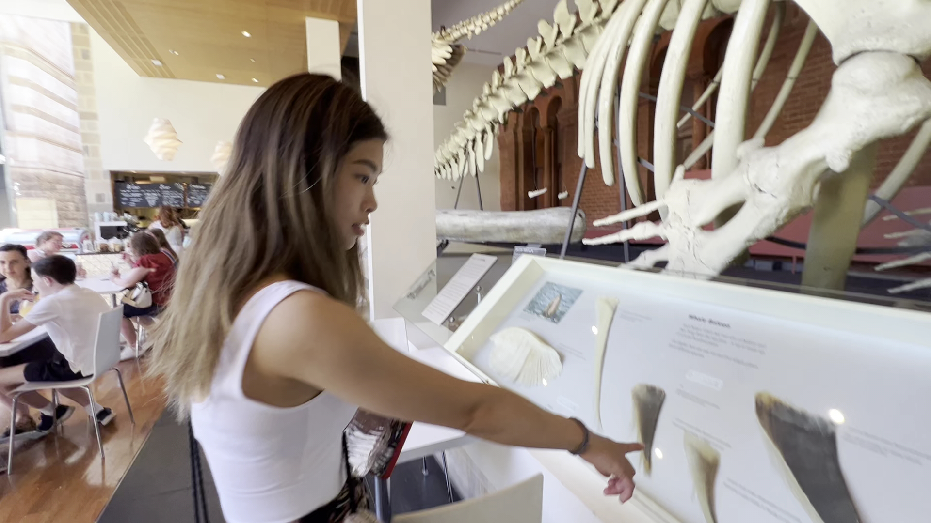 South Australian Museum