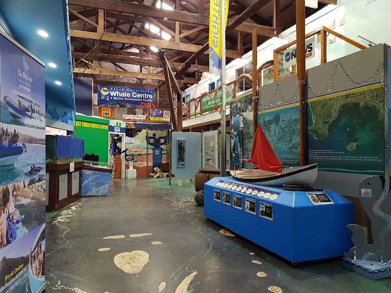 South Australian Whale Centre photo 2