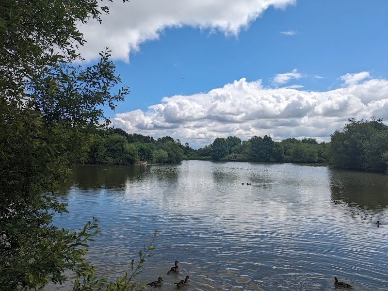 South Norwood Country Park photo 2