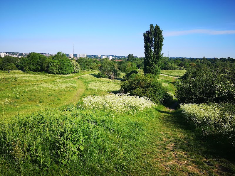 South Norwood Country Park photo 3