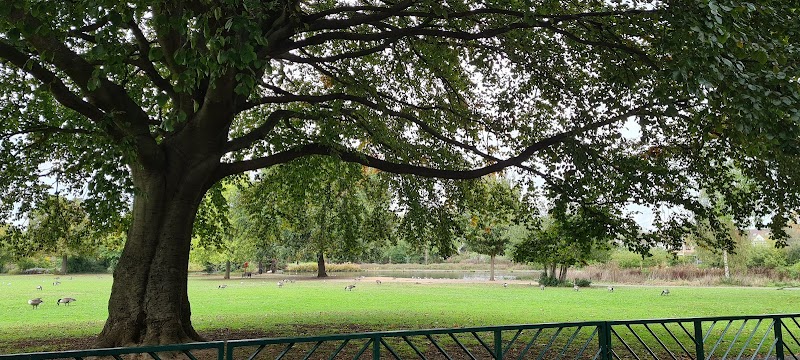 South Park Big Kids Play Area photo 2