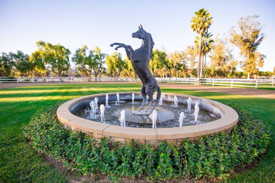 Southern California Equestrian Center photo 3