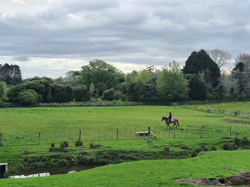 Southstar Equestrian photo 2