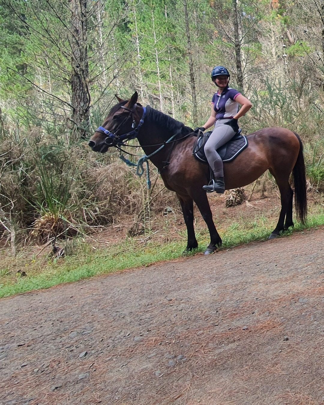 Southstar Equestrian photo 3