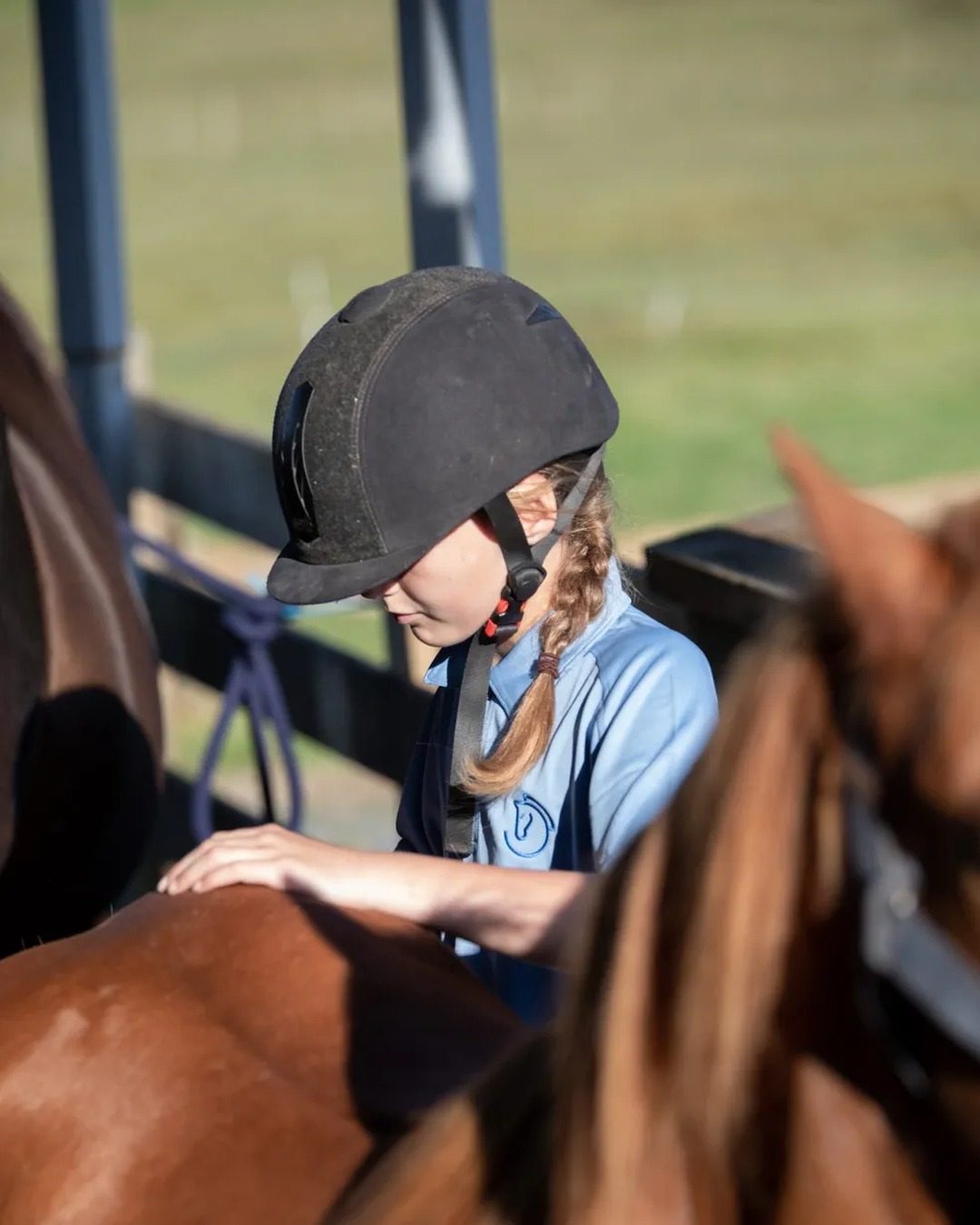 Southstar Equestrian photo 4