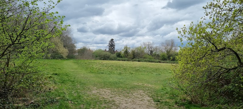 Southwood Park photo 2