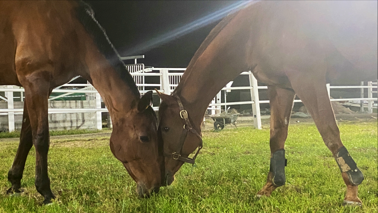 SPARTA Academy photo 2