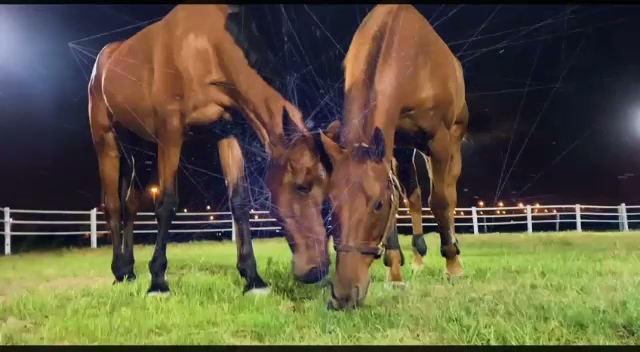 SPARTA Academy photo 3