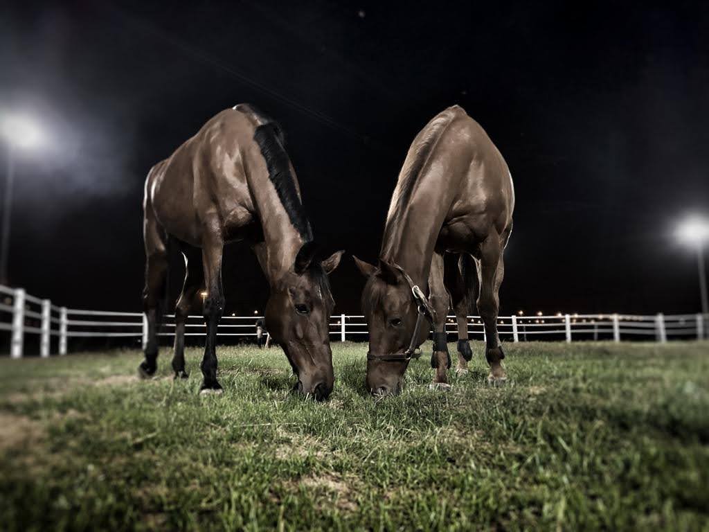 SPARTA Academy photo 5