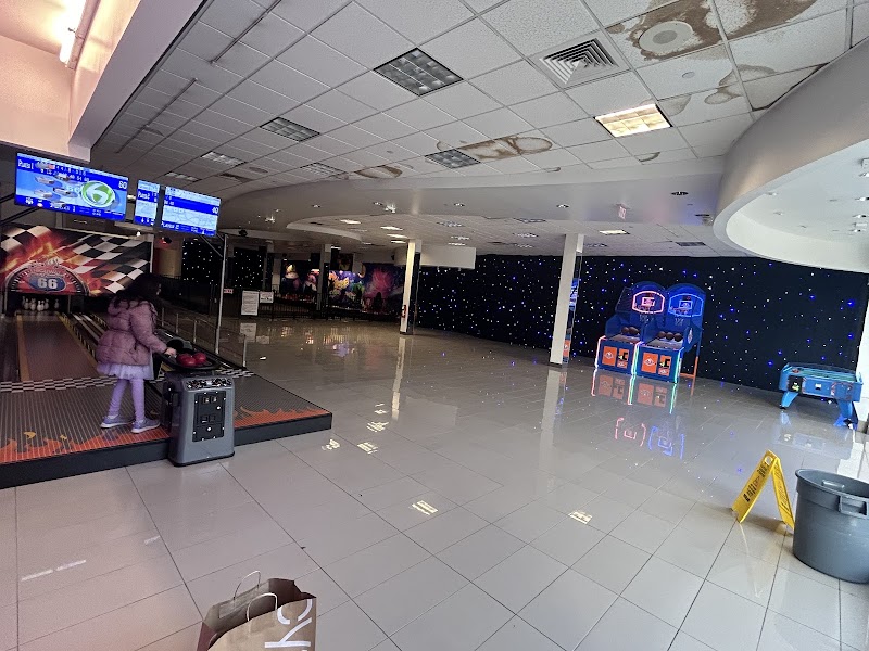 Spin Zone Bumper Cars photo 3