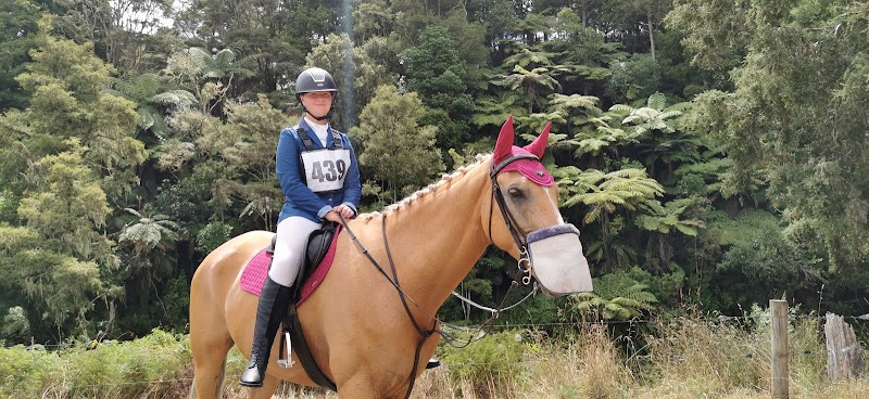 Springbush Equestrian