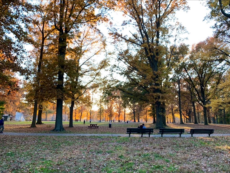 Springfield Playground photo 3