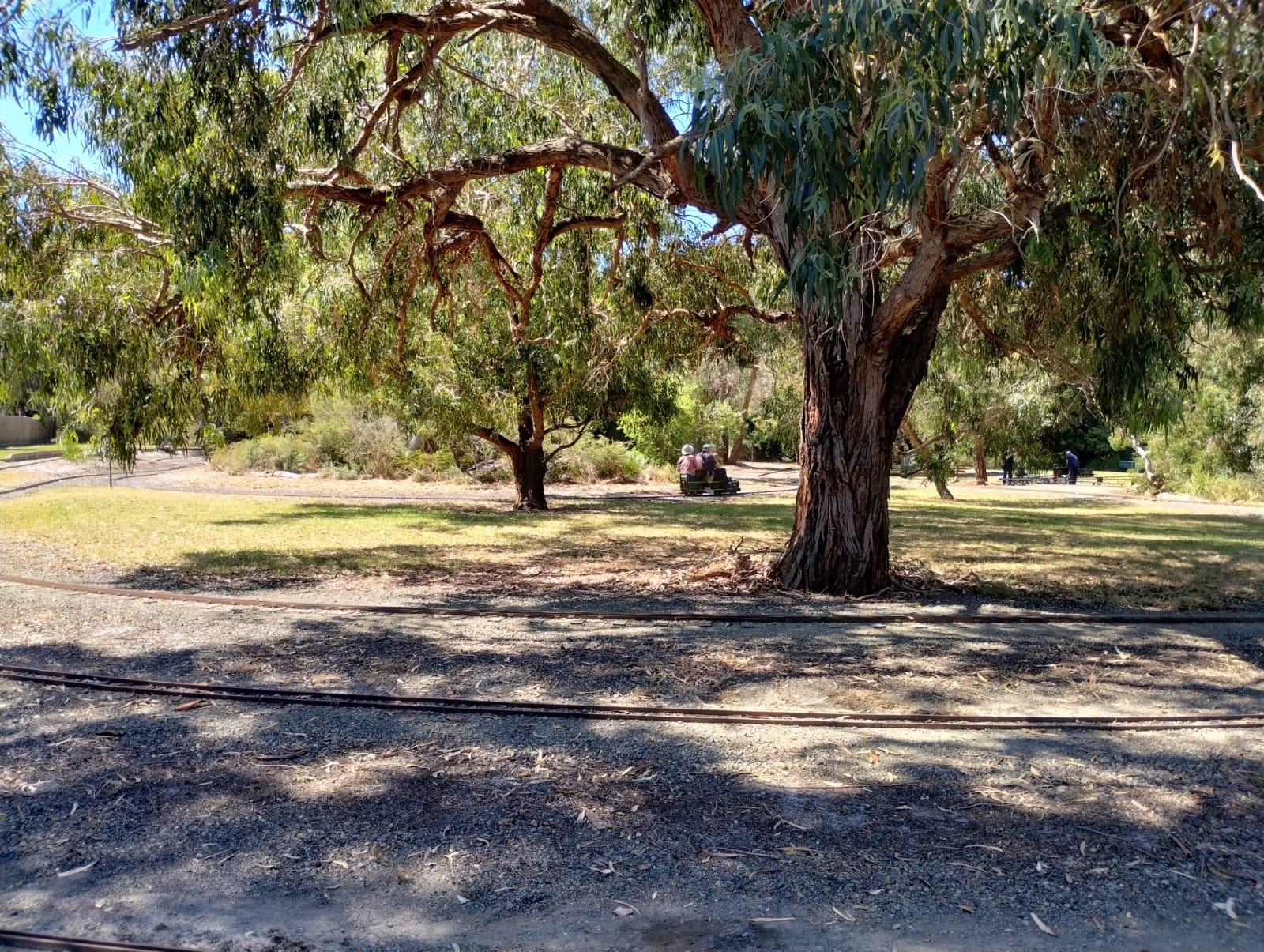 Springvale Live Steamers photo 3