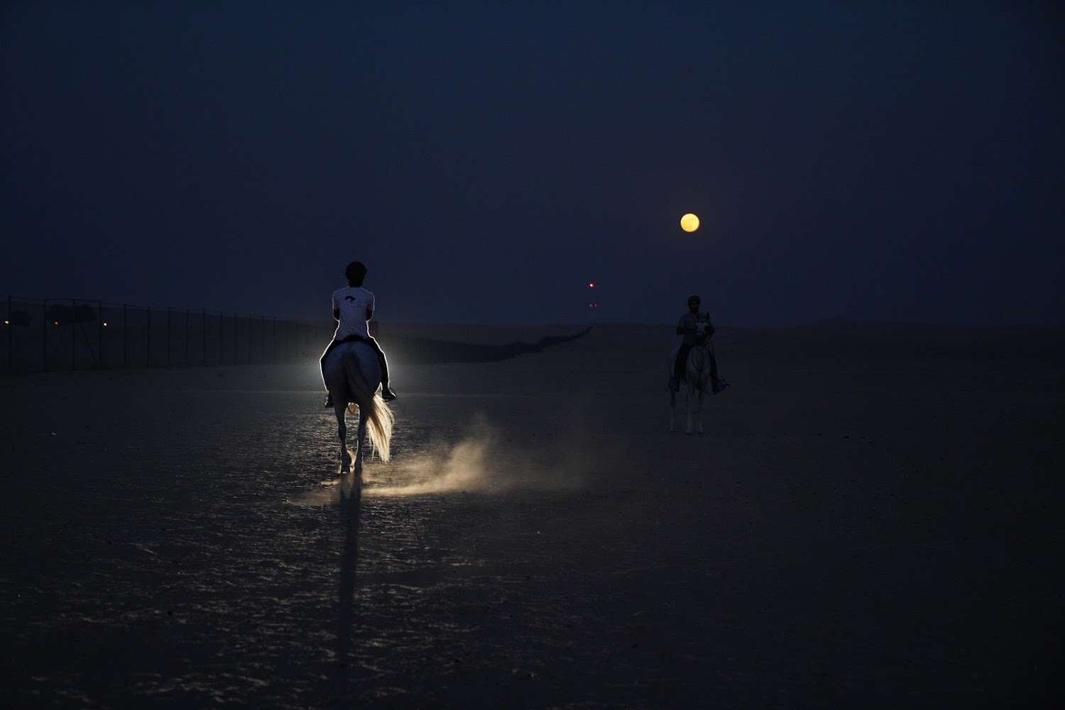 SQ7 EQUESTRIAN CENTER photo 2