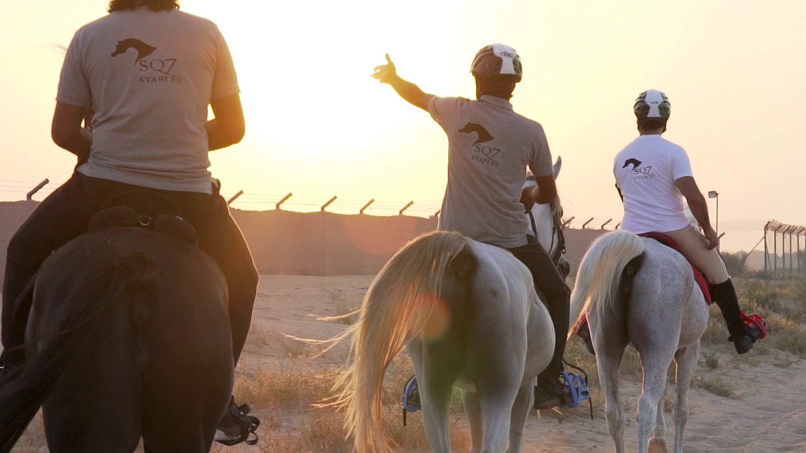 SQ7 EQUESTRIAN CENTER photo 3