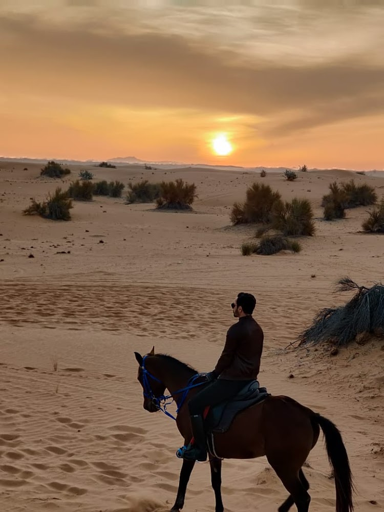 SQ7 EQUESTRIAN CENTER photo 4