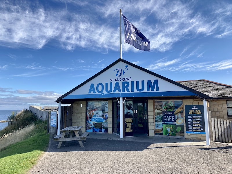Photo of St Andrews Aquarium in Central Scotland