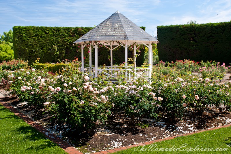 St Kilda Botanical Gardens