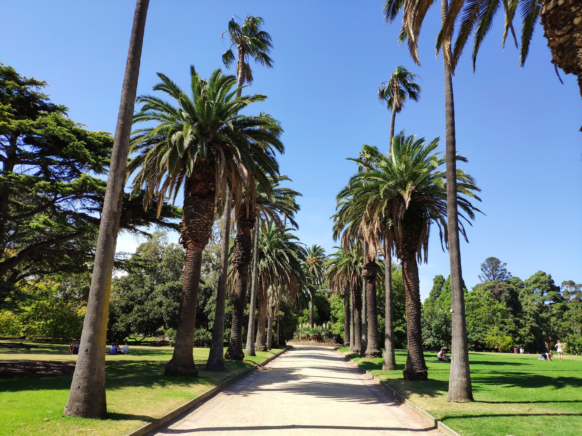St Kilda Botanical Gardens photo 2