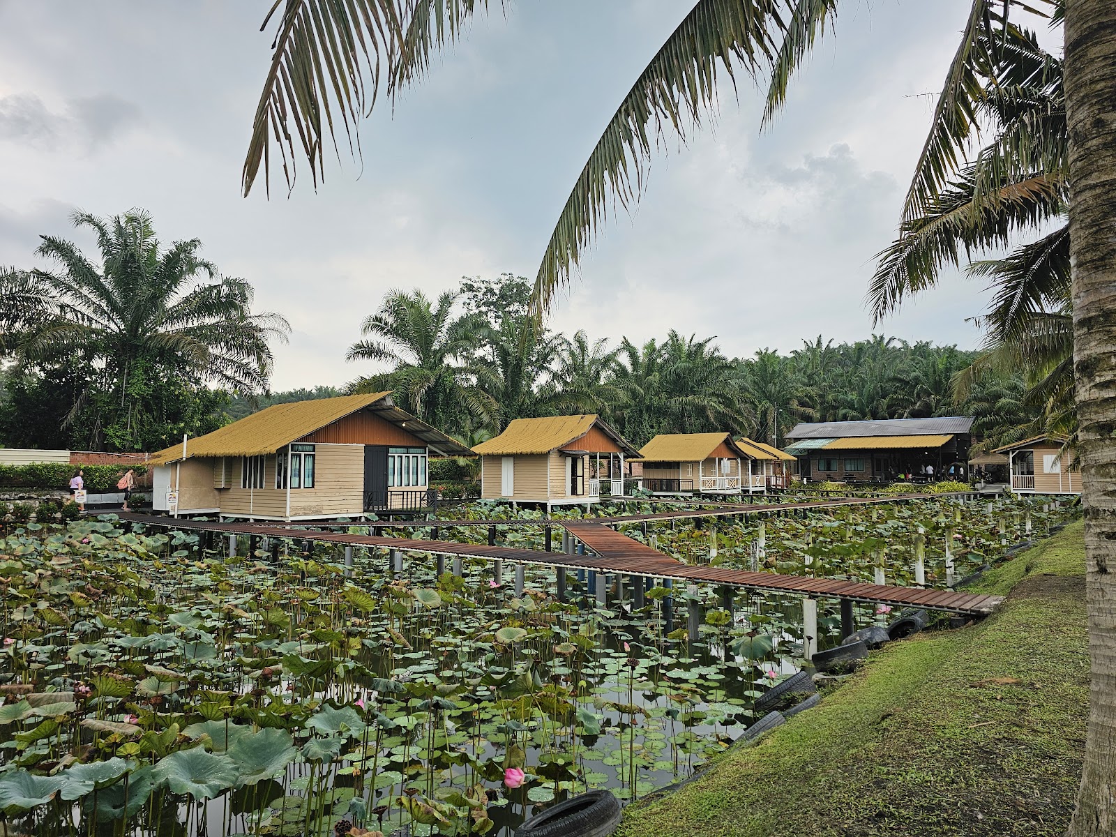 Star Fish Leisure Farm