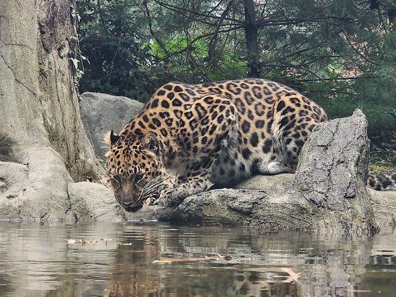 Staten Island Zoo
