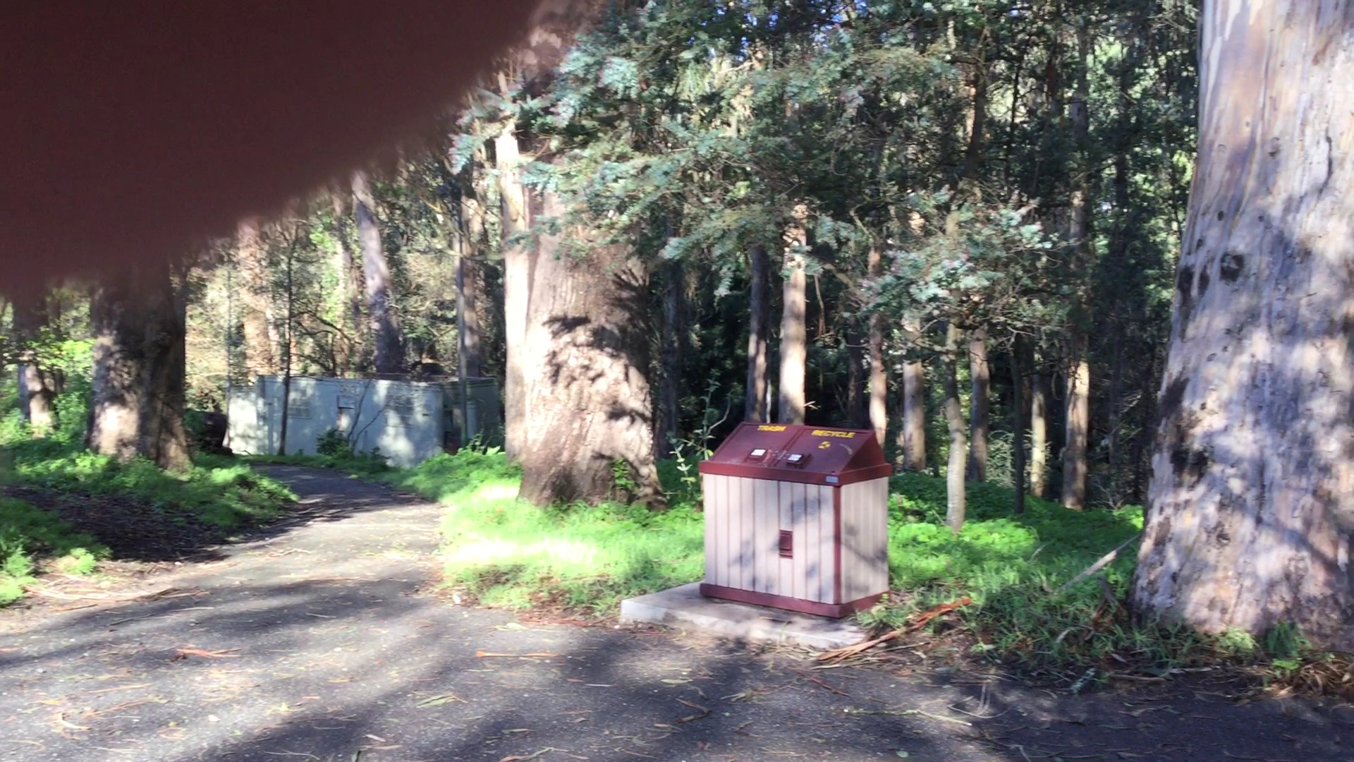 Stern Grove Playground photo 2