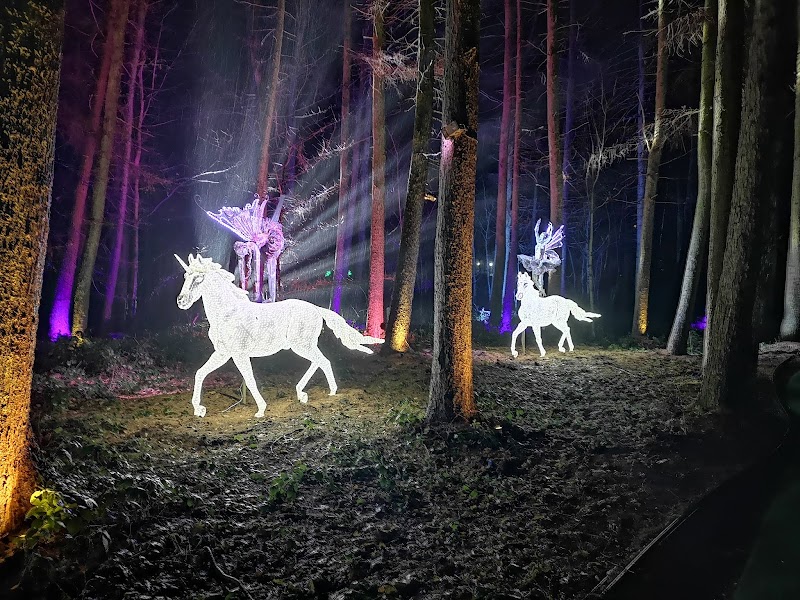 Stockeld Park photo 3