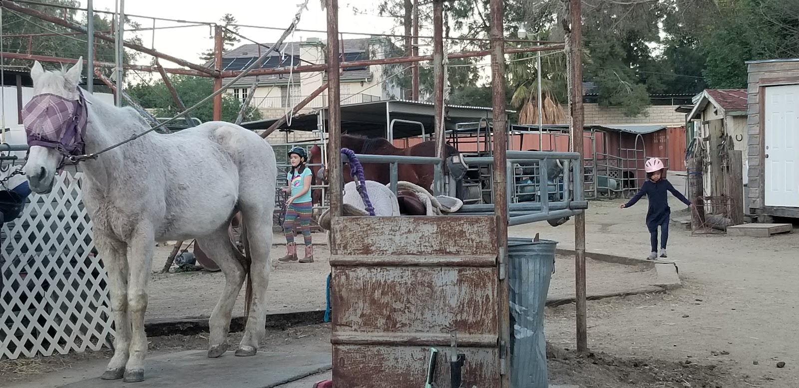 Stoney Point Ranch & Riding Center photo 2