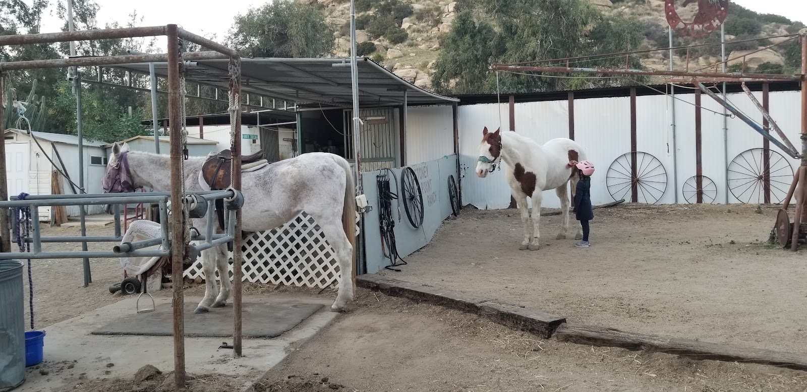 Stoney Point Ranch & Riding Center photo 3