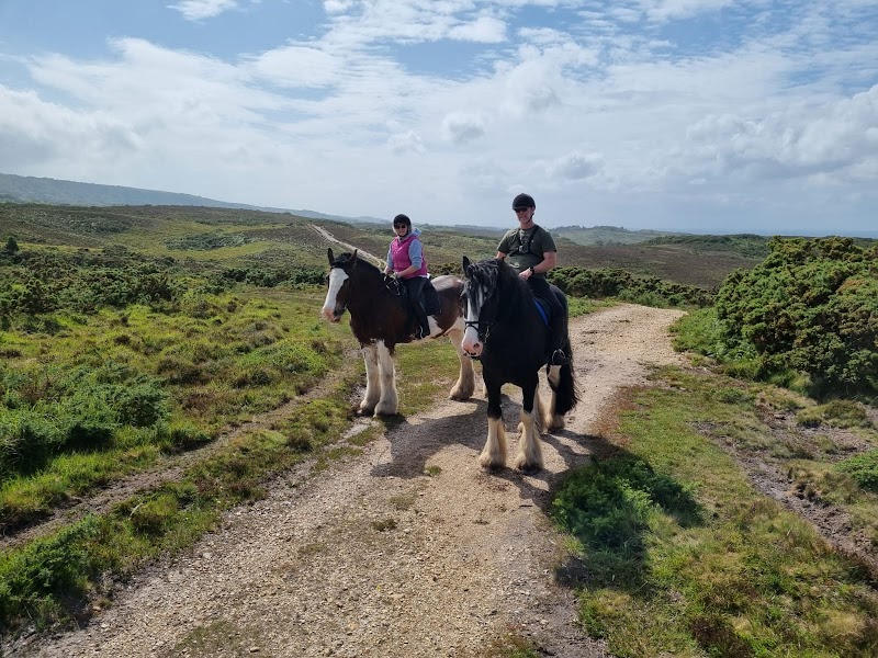 Studland Trekking Centre