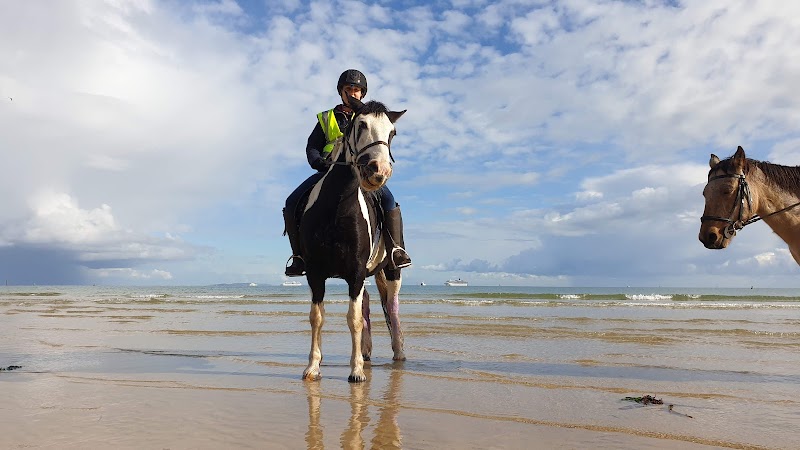 Studland Trekking Centre photo 2