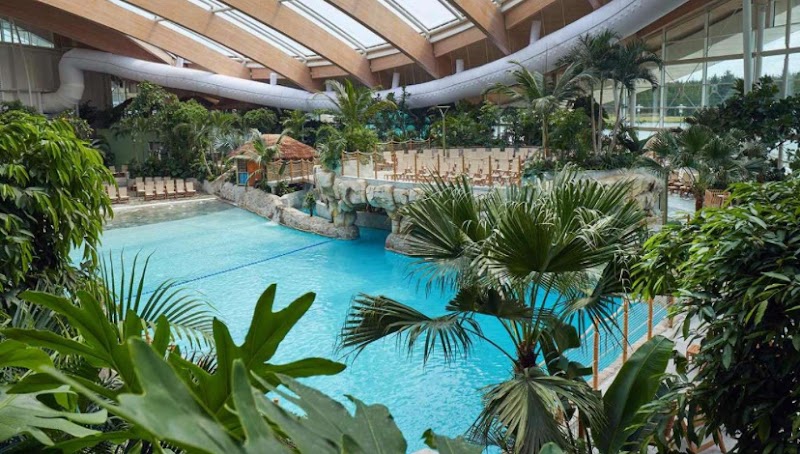Subtropical Swimming Paradise photo 2