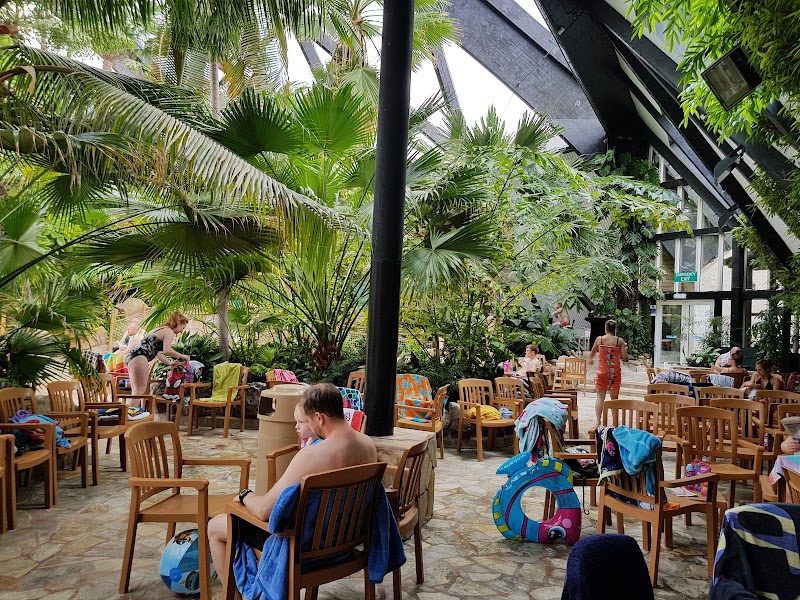 Subtropical Swimming Paradise photo 2